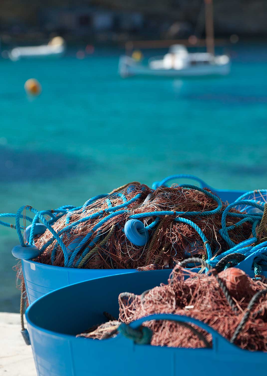 Fisch-Schutz. „Uber“ auf Ibiza? Gastronomie-Hilfe