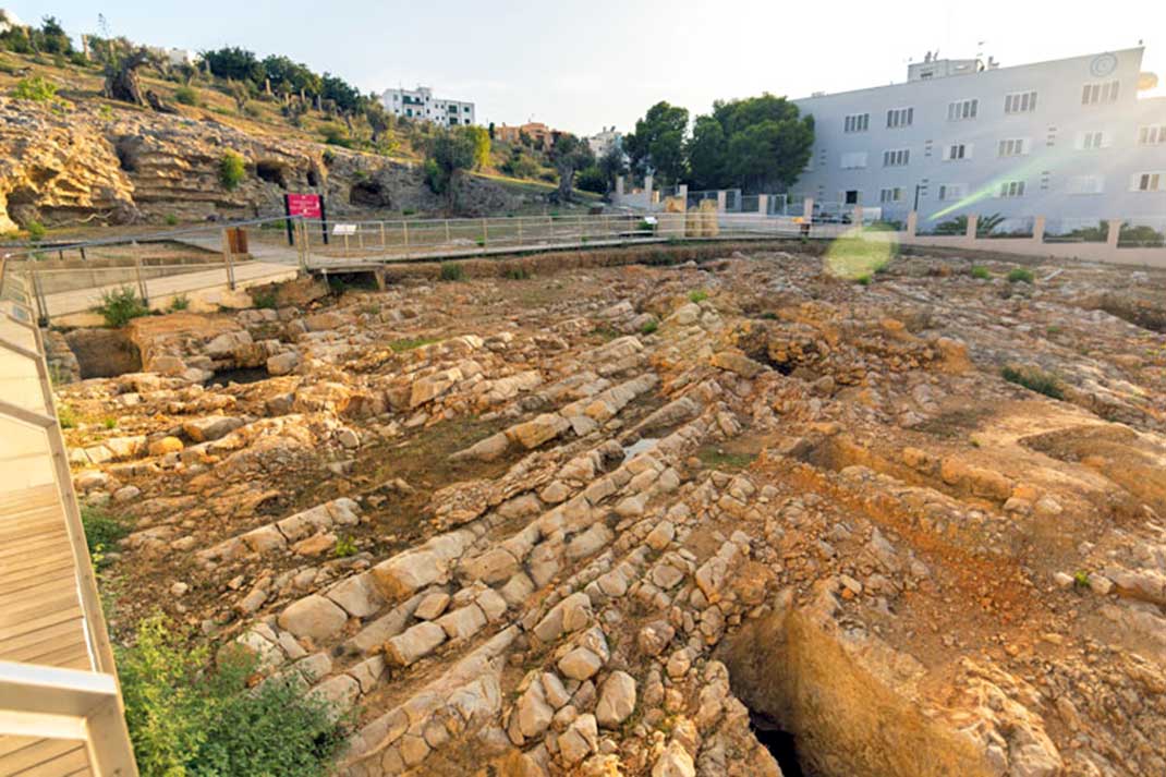 Das Gelände des Archäologischen Museums von Ibize wird zum Eidechsen-Schutzgebiet