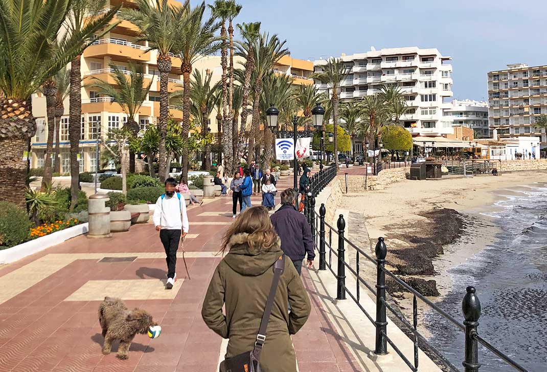 Hunde in Santa Eulària auf Ibiza sollen künftig per DNA registriert werden