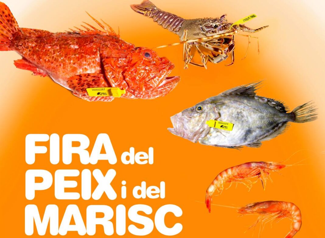 kl-sant-antoni-Fira del Peix i del Marisc-rathaus