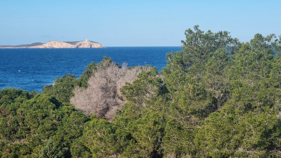 weissborn-sant-antoni