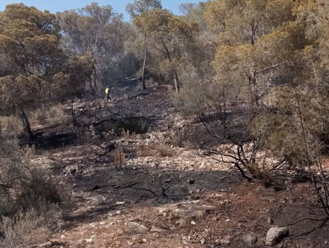 Waldbrand Sant Jordi Foto_ AgriculturaGOIB