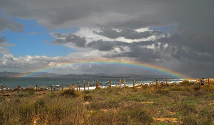Regenbogen PeterE
