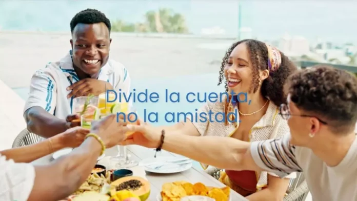 eivissa-chipinfy-chipinfy