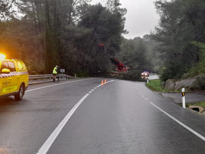 ibiza-incidències Harry (1)-consell