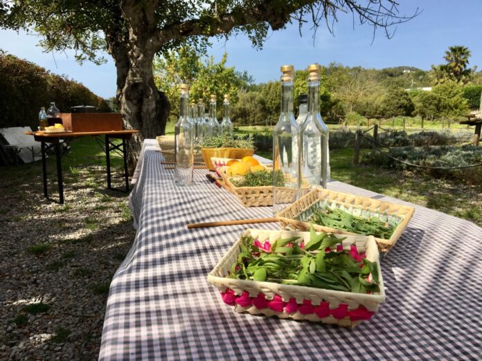 Hierbas Workshop@lk