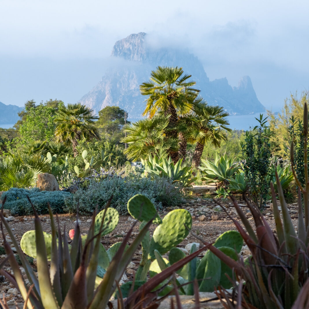 Ecodisseny_Permakultur_Ibiza_IbizaHEUTE