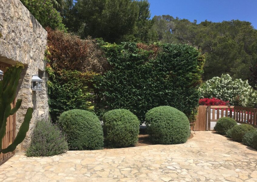 Markus-Klaaßen-Garten-und-Landschaftsbau-Poolservice-Ibiza-IbizaHEUTE
