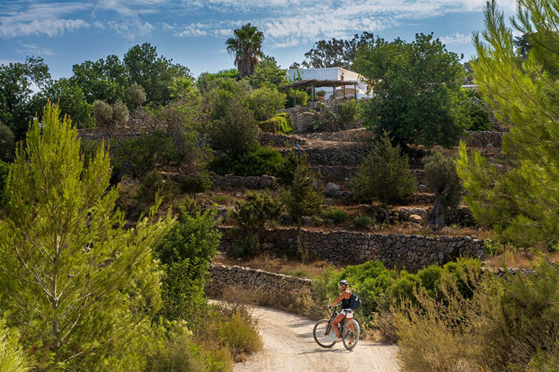 Grünes IbizaSOP