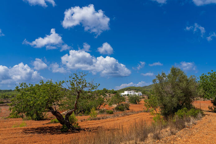 Ibiza–CampoSOP