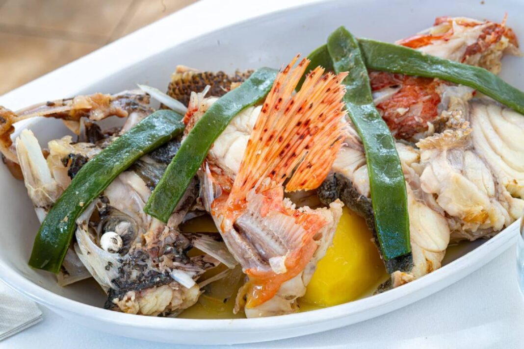 kl-gastro-can alfredo-ibiza travel