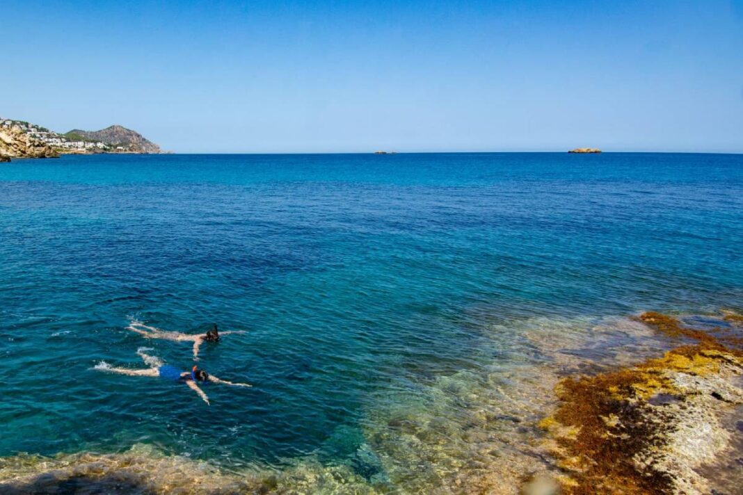 kl-DE SESION+193+Schnorcheln-ibizatravel reserviert
