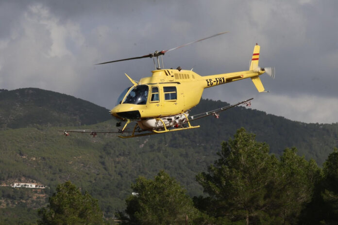 baleares-prozessionsspinner-goib